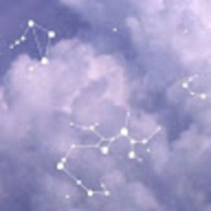 Meet your Posher, Sylvia